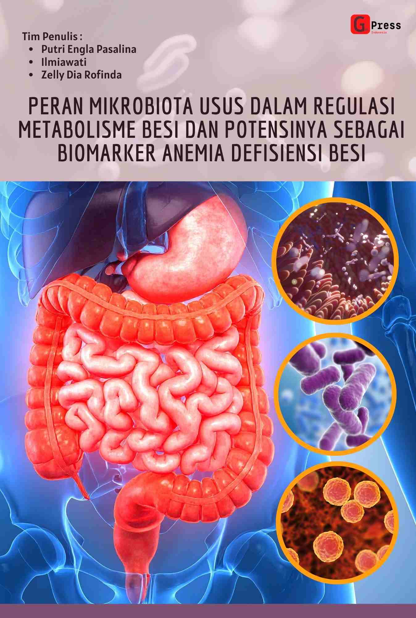 Peran Mikrobiota Usus Dalam Regulasi Metabolisme Besi Dan Potensinya Sebagai Biomarker Anemia Defisiensi Besi